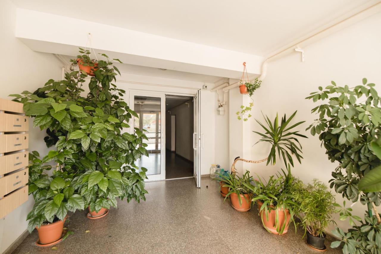 Oltului Apartment Braşov Exterior foto